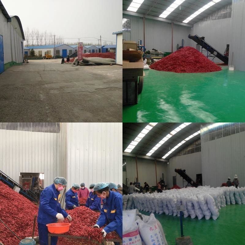 China Neihuang Xinglong Agricultural Products Co. Ltd Perfil da companhia