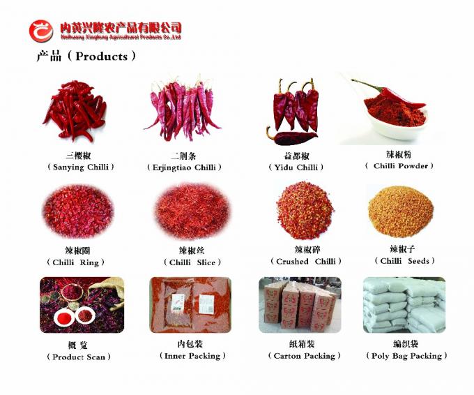 Os pimentões de Yidu do chinês secaram pimentões vermelhos