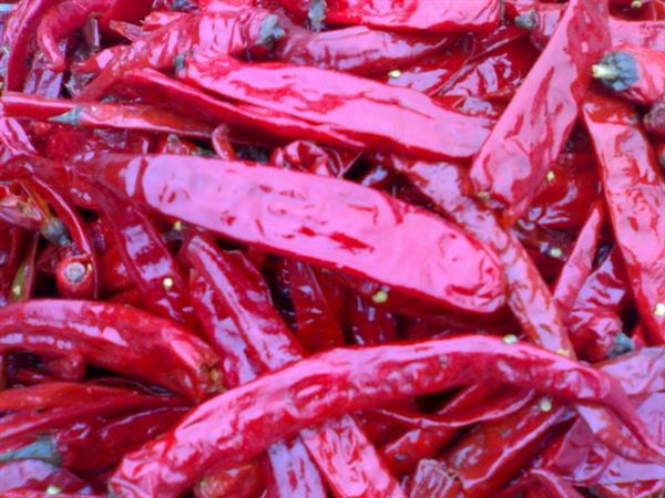 O preço baixo secou recentemente a pimenta de pimentão vermelha de Xian