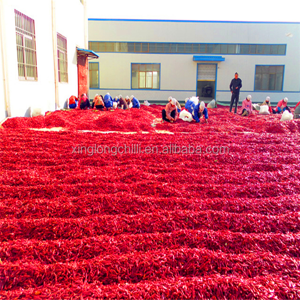 Especificação do pimentão vermelho picante de Tianjin da venda quente