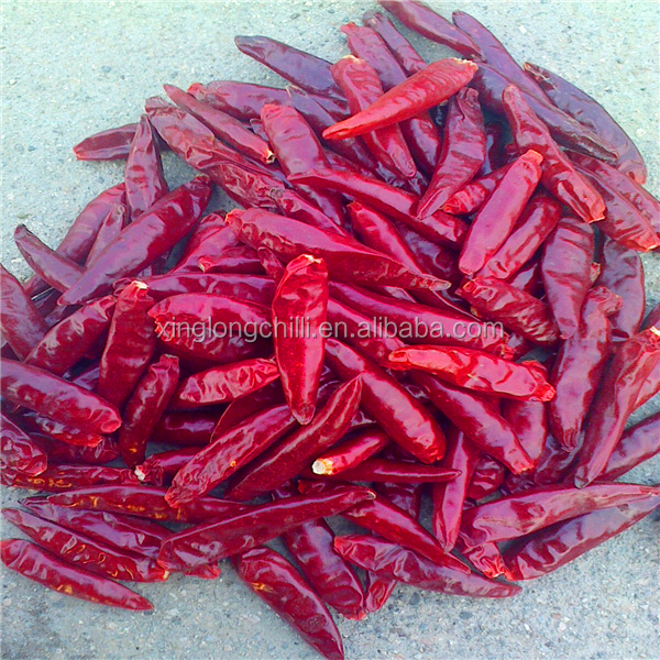 Pimentões secados picantes chineses da pimenta vermelha de Sanying do capsicum