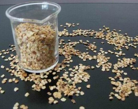 A origem de China secou o capsicum das sementes dos pimentões