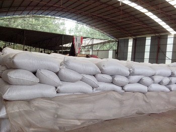Fábrica certificada Halal do pimentão para produzir o pimentão longo de Xian