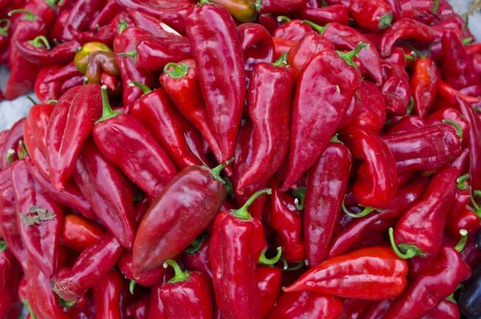 O produto da fábrica de Neihuang desidratou pimentões doces vermelhos da paprika