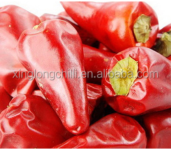Pimentões da pimenta vermelha da bala de Sichuan do preço de fábrica