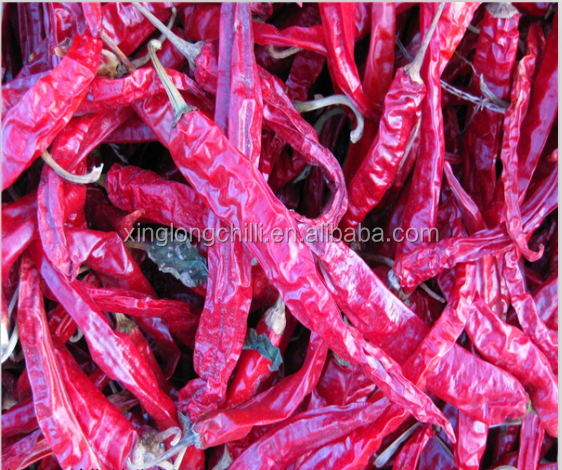 Pimentão vermelho longo de Erjingtiao para anéis fritados do pimentão