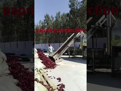 processo de limpeza de pimentão na China