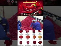 Fábrica de Especiarias 03