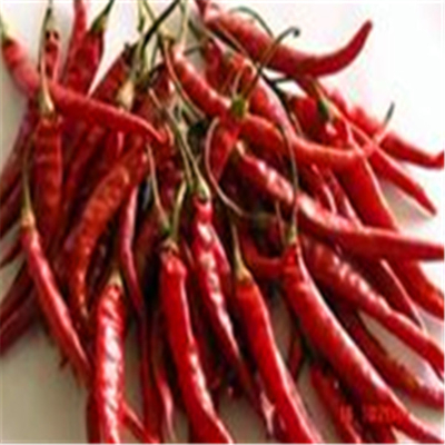 Erjingtiao Seco Aéreo Chilis Secos Sem Estem e Embalado com Pimentões