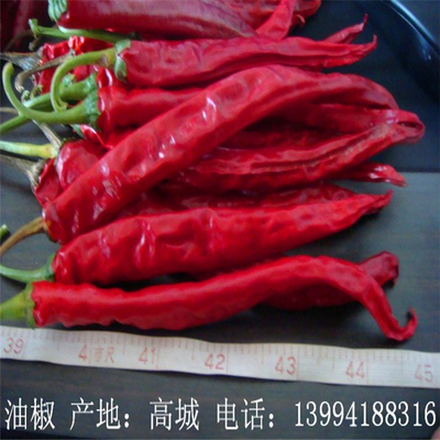 Erjingtiao Chilis secos com 8-12% de humidade e processo de secagem a ar