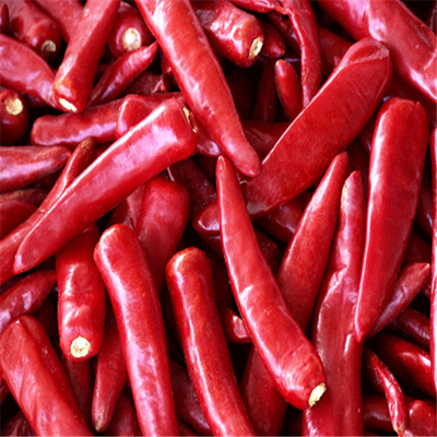 Ingredientes de Chilli de cultivo Armazenados em local frio e seco