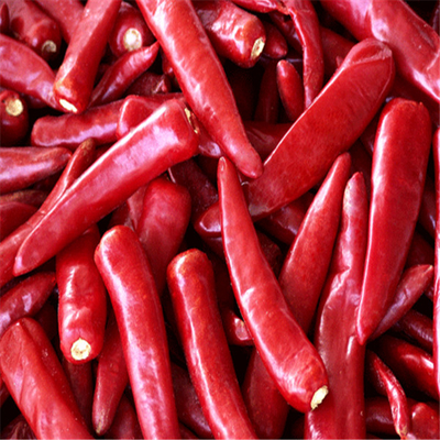 Erjingtiao aditivo zero secou pimentos desidratados pungentes de Chilis