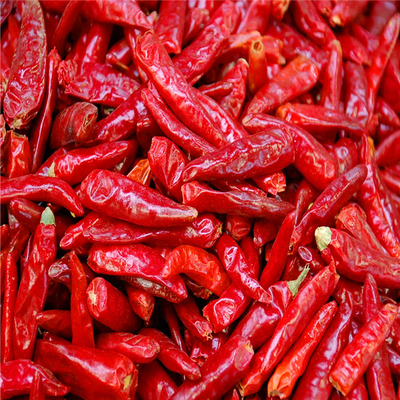 Pimentões vermelhos secos inteiros com ingredientes sem caule