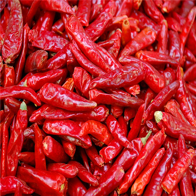 Erjingtiao aditivo zero secou pimentos desidratados pungentes de Chilis