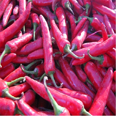 Erjingtiao Pimenta Ingredientes Pimentas quentes 8000-12000shu para os requisitos do cliente