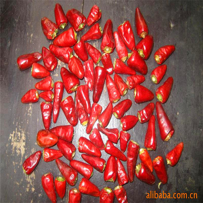 Ar secado Chilli vermelho em cor vermelho escuro Ervas únicas Especiarias