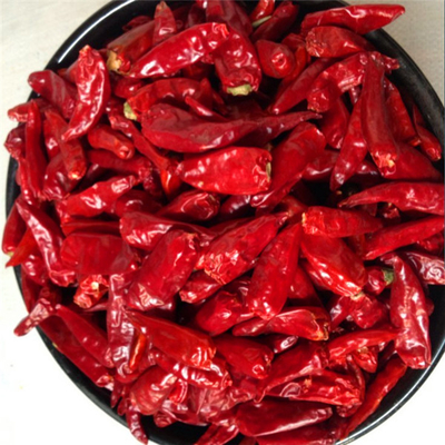 Ar secado Chilli vermelho em cor vermelho escuro Ervas únicas Especiarias