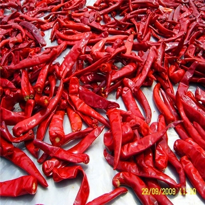 O doce suave do calor secou Paprika Pepper 1% Max Impurity 15Cm