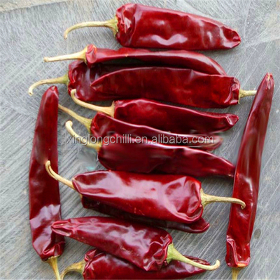 10 - 20 cm Red Jinta Chilli 8000-12000SHU para Marinadas e Cozinhar