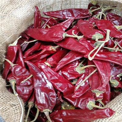 HACCP 200g Yidu Chili Ingredientes 7 - 15cm sabor picante de chili