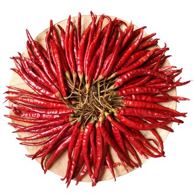 Chilli de olho de pássaro seco rico em cálcio para criações culinárias ousadas e picantes