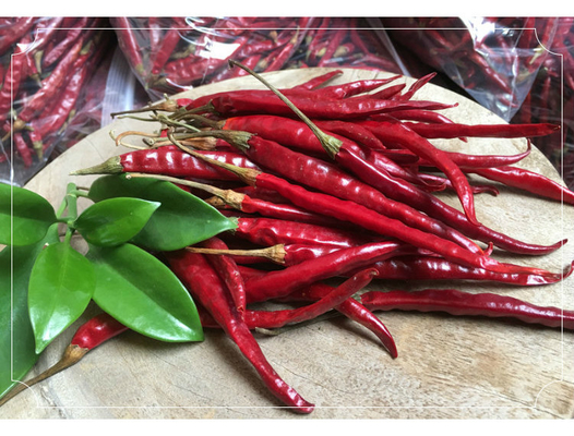 Chilli de olho de pássaro seco rico em cálcio para criações culinárias ousadas e picantes