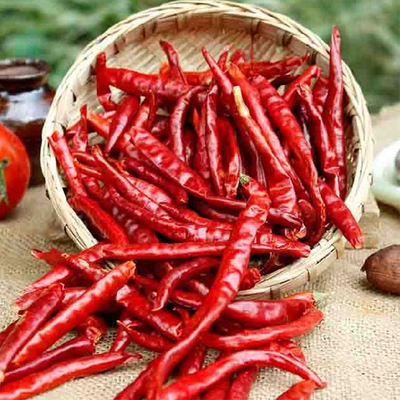 7-19 cm de comprimento Chillies desidratantes com embalagem fechada a vácuo