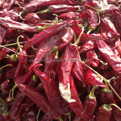 Chili Yidu com sabor 7-15 cm de comprimento