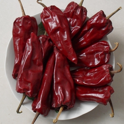 Aumente suas criações culinárias com pimentões secos leves - comprimento de pimentão Yidu 7-15cm