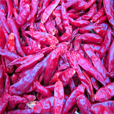 4-7cm Cayenne Pimentão vermelho seco Condições de armazenamento Lugar fresco e seco