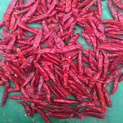 Anel de Chilli de Alto Calor 0,5-1,5 cm comprimento 50000SHU Calor até 35% de sementes