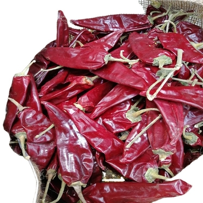 10 - 15 cm Chilli Guajillo Seco 50BLS Para guisados com água na boca