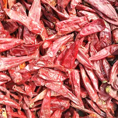 Chilli vermelho natural, pimentão doce, pimenta, ervas únicas, especiarias para prazeres culinários