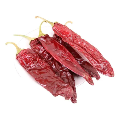 Forma de bastão Cereja vermelha Guajillo Chilis Grau A 10-15cm Tamanho