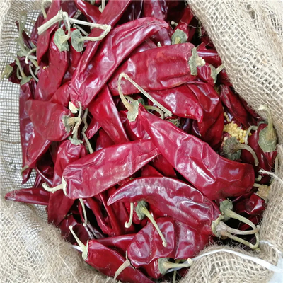 Umidade 8%-12% Chilli Guajillo Seco Grau A Com Impuridade 0,1% Max