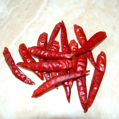 Umidade 8%-12% Guajillo seco Chili vermelho inteiro / bastão
