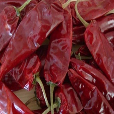 Red Jinta Chilli Umidade 8%-12% Impuridade 0,1% Max Para cozinha tradicional