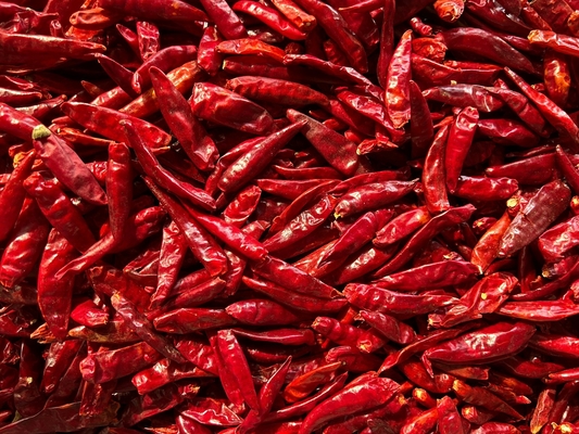Os chefs gostam de pimentão picante e seco