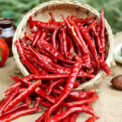 Pimentão vermelho, temperos e temperos em pó para a sua experiência culinária.