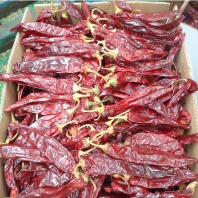 Pimentão doce sabor especiaria e tempero em pó