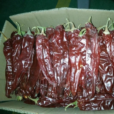 Pimentão doce sabor especiaria e tempero em pó