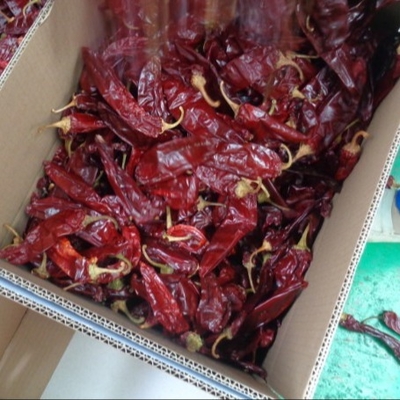 Ingredientes Paprika Pimenta Chilli Capsicum Xinjiang Chilli Grau de picância 500SHU