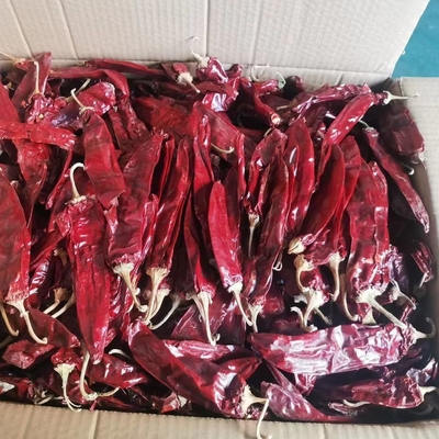 1000 cfu/g Paprika Pods para o seu negócio de ingredientes alimentares