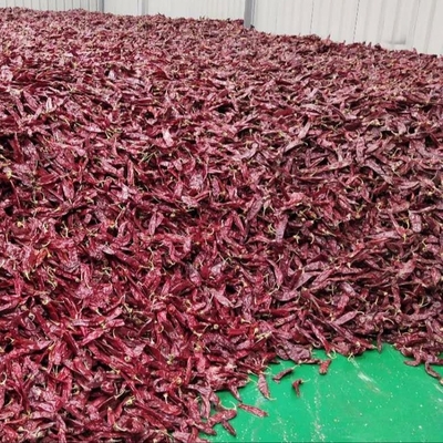 1000 cfu/g Paprika Pods para o seu negócio de ingredientes alimentares