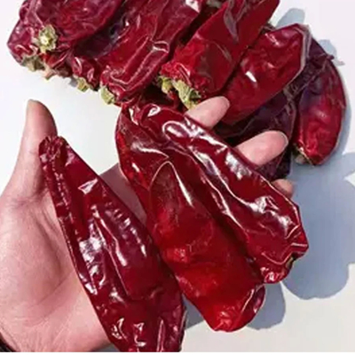 Pimentões de Cayenne secos ao sol com um sabor picante de 10 000 a 20 000 unidades de calor de Scoville
