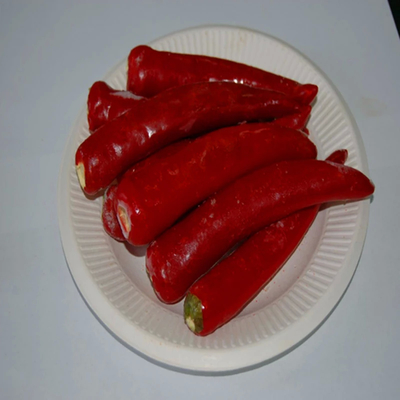 Pó de Chilli Indiano de qualidade superior - textura fina ASTA 120