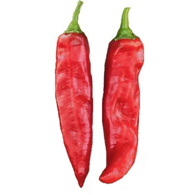 Pimenta vermelha picante em pó com ASTA 60-220
