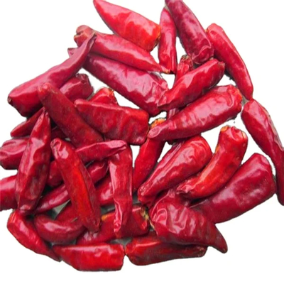 2% Taxa máxima de quebra Chilli de bala vermelha seca a ar com amostra e frete coletados