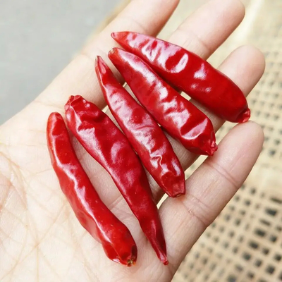 Sem aditivos Chilli vermelho com chapéu para o seu padrão de negócios
