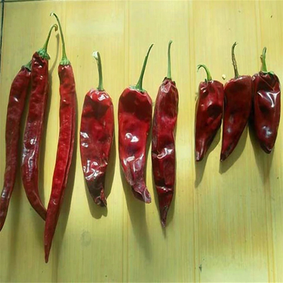 Adicione um pontapé aos seus pratos com pimentões picantes secos Ingredientes essenciais de chili